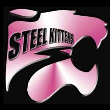 sk 163 steel kittens